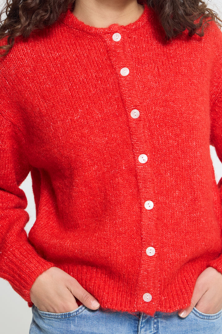 Poinsettia Cardigan
