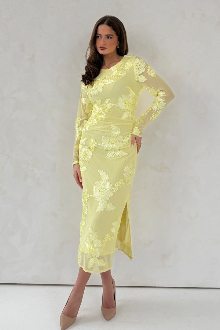 Elodie Embroidered Dress