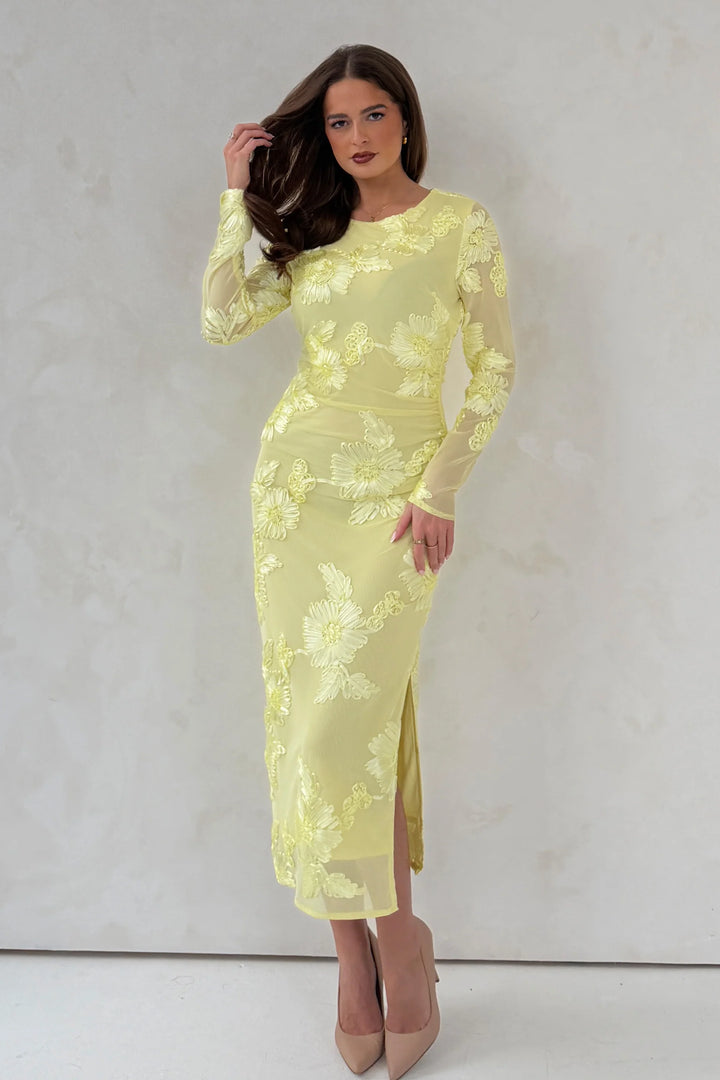 Elodie Embroidered Dress