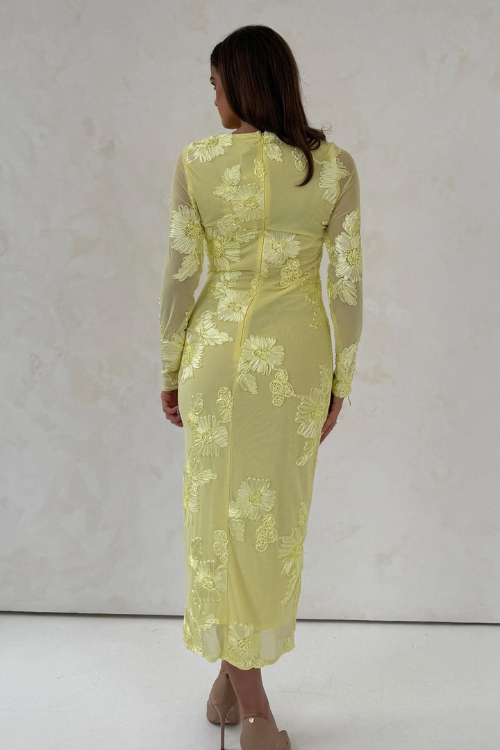 Elodie Embroidered Dress