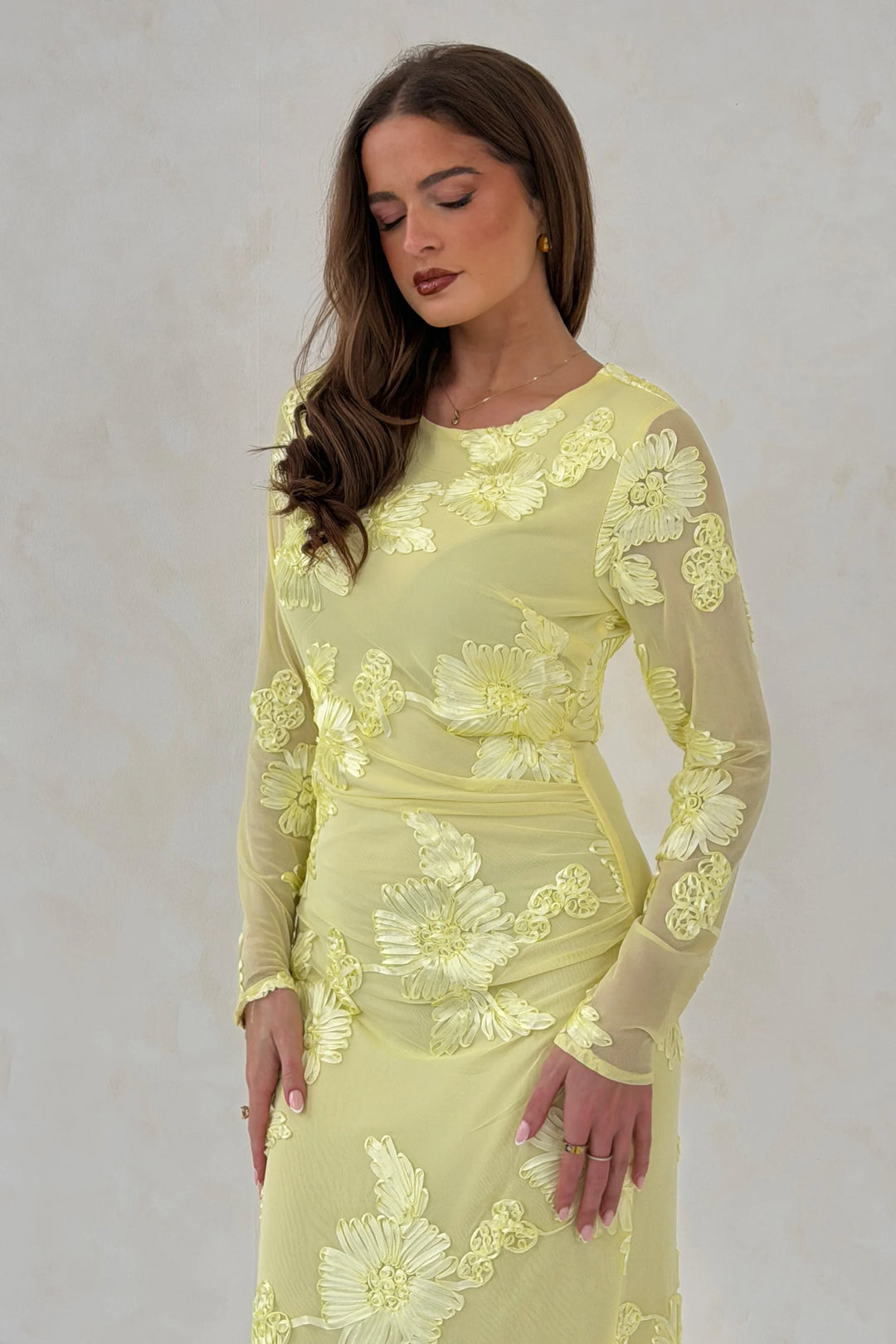 Elodie Embroidered Dress